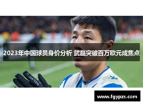 2023年中国球员身价分析 武磊突破百万欧元成焦点 2023年中国球员身价分析 武磊突破百万欧元成焦点