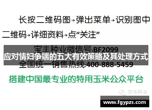 应对情妇争端的五大有效策略及其处理方式 应对情妇争端的五大有效策略及其处理方式
